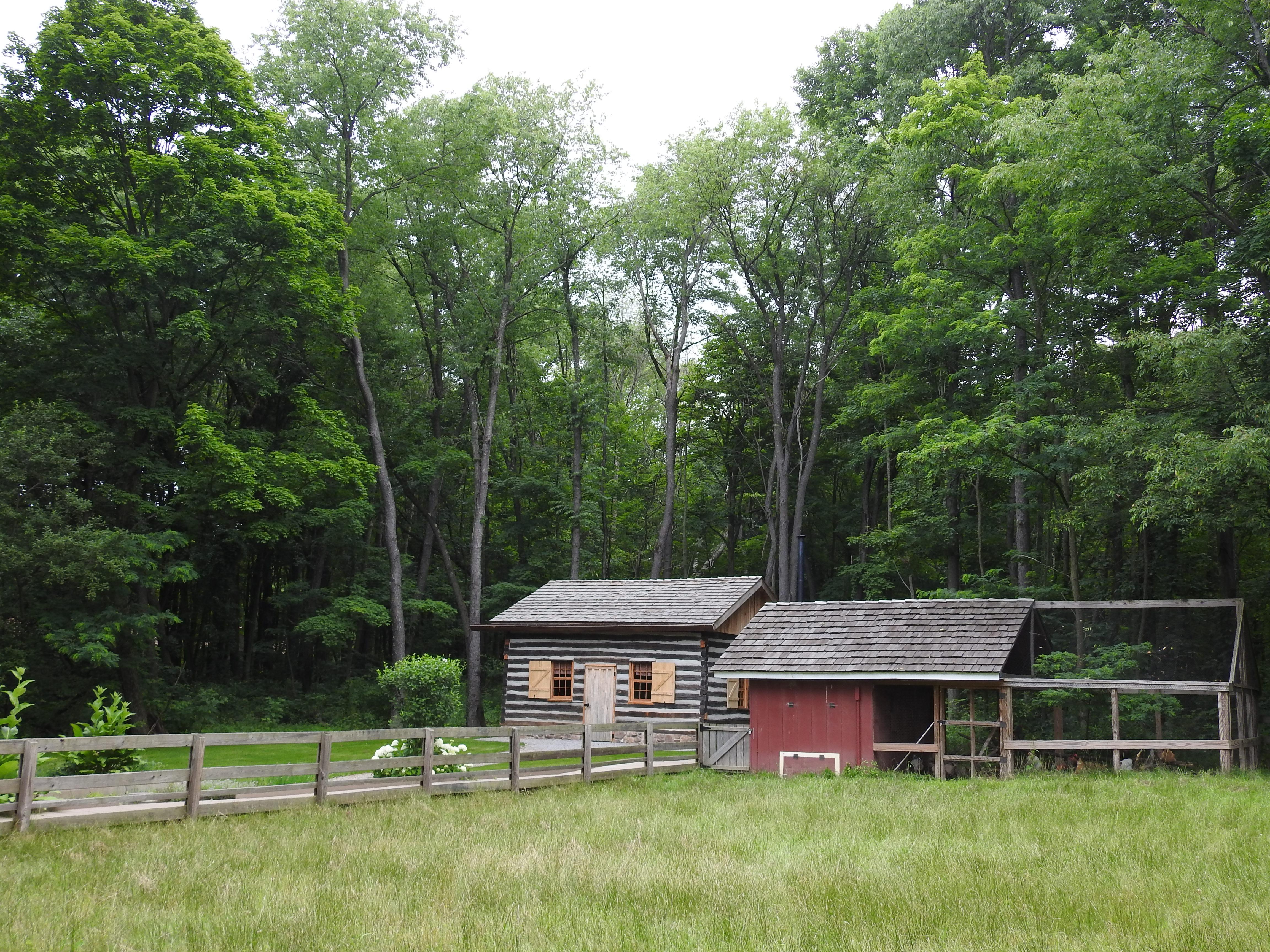 A zoomed-out picture of a chicken coop in front of a tree line